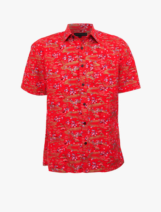 CAPPUCIO - Shirt - 3932325AD