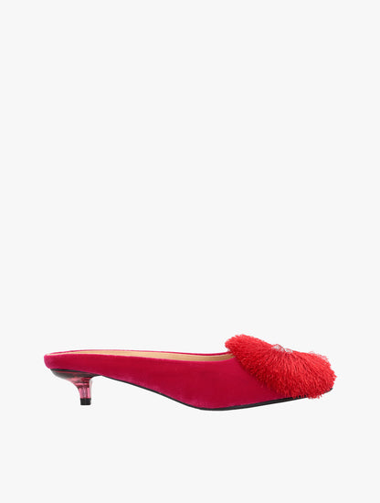 PLI-Pom-pk-37