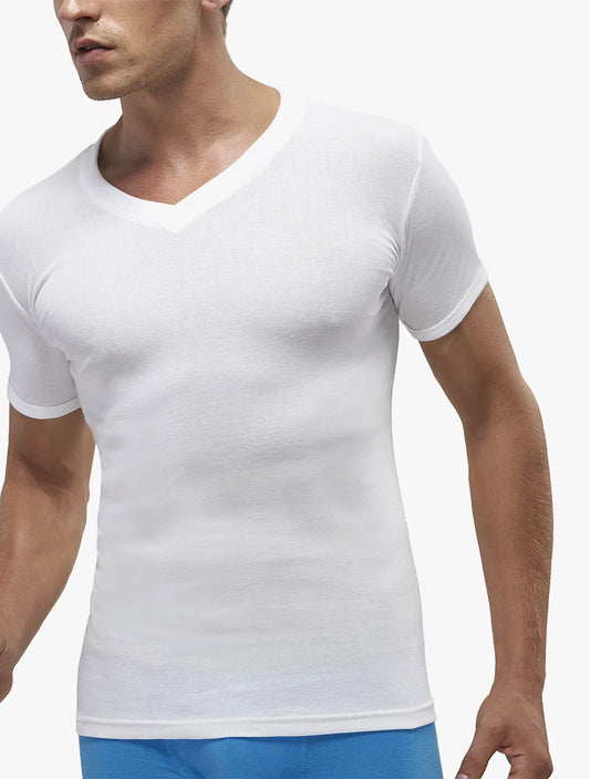 PIERRE CARDIN Tshirt - PC5317-1