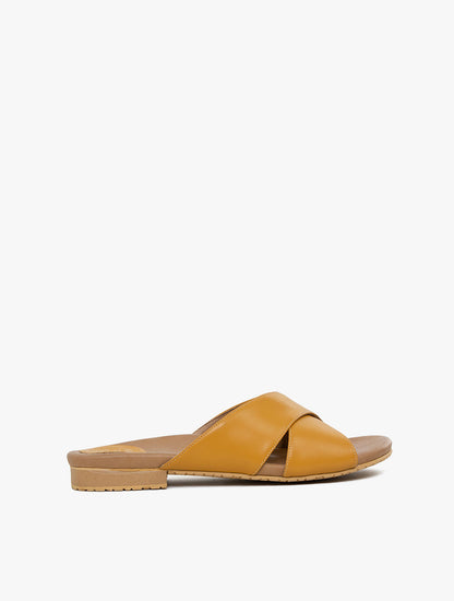PLI-43041-mustard-36