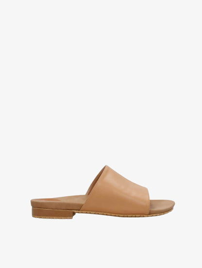 PLI-43046-l.camel-41