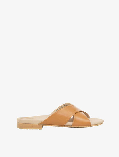 PLI-43048-camel-42