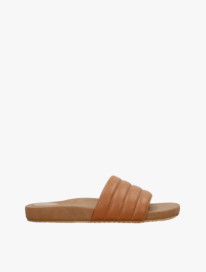 PLI-43290-camel-38