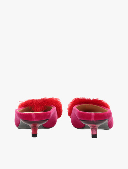 PLI-Pom-pk-36