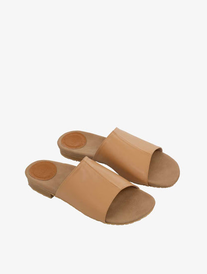 PLI-43046-l.camel-40