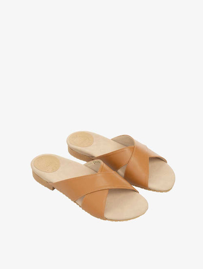 PLI-43048-camel-37