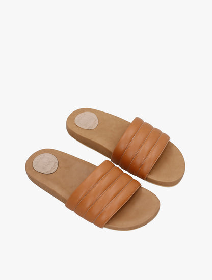 PLI-43290-camel-39