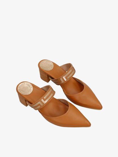 PLI-44508-camel-37