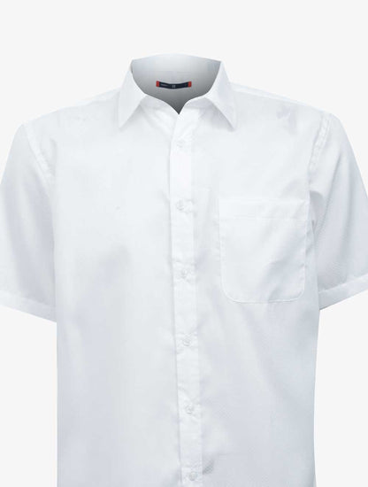 PLI-36241405XXL01