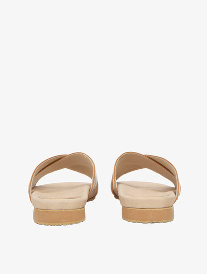 PLI-43048-camel-42