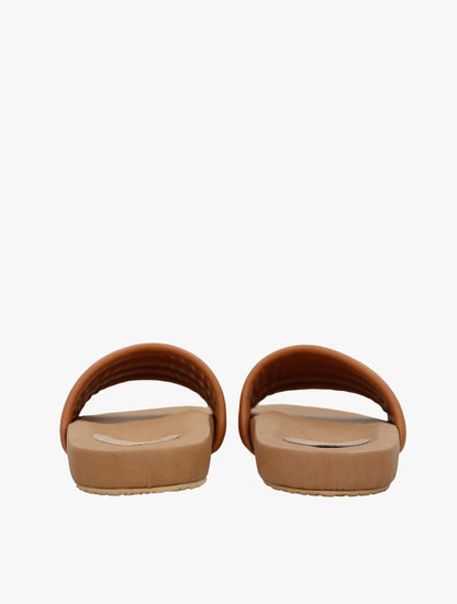 PLI-43290-camel-39