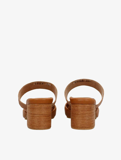 PLI-44508-camel-38