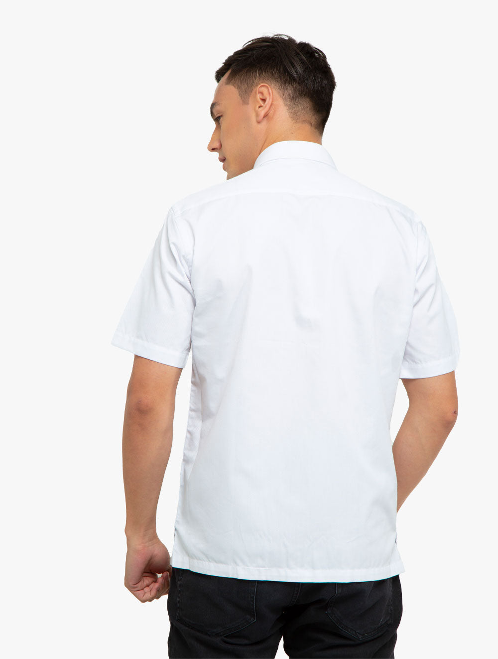 PLI-1613056XL01
