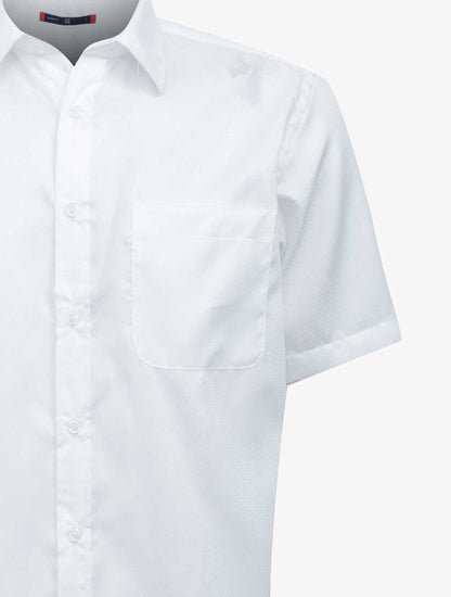 PLI-36241405XL01