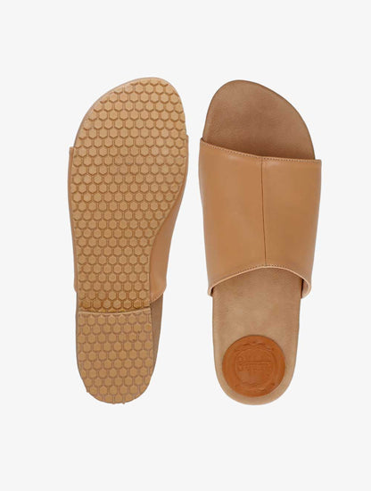 PLI-43046-l.camel-40
