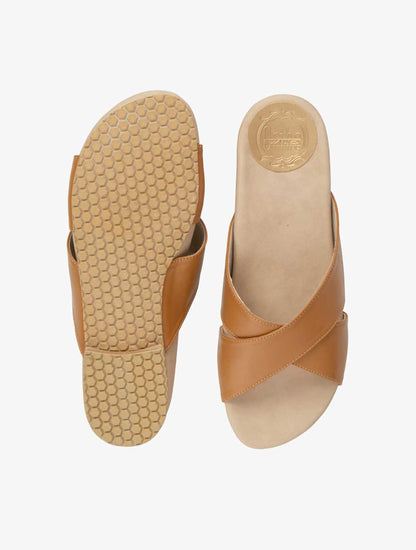 PLI-43048-camel-41