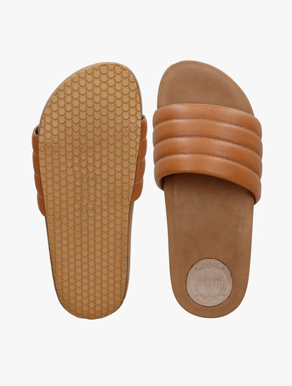 PLI-43290-camel-38