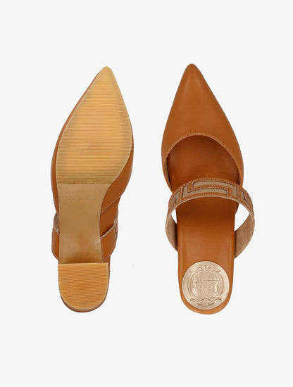 PLI-44508-camel-40